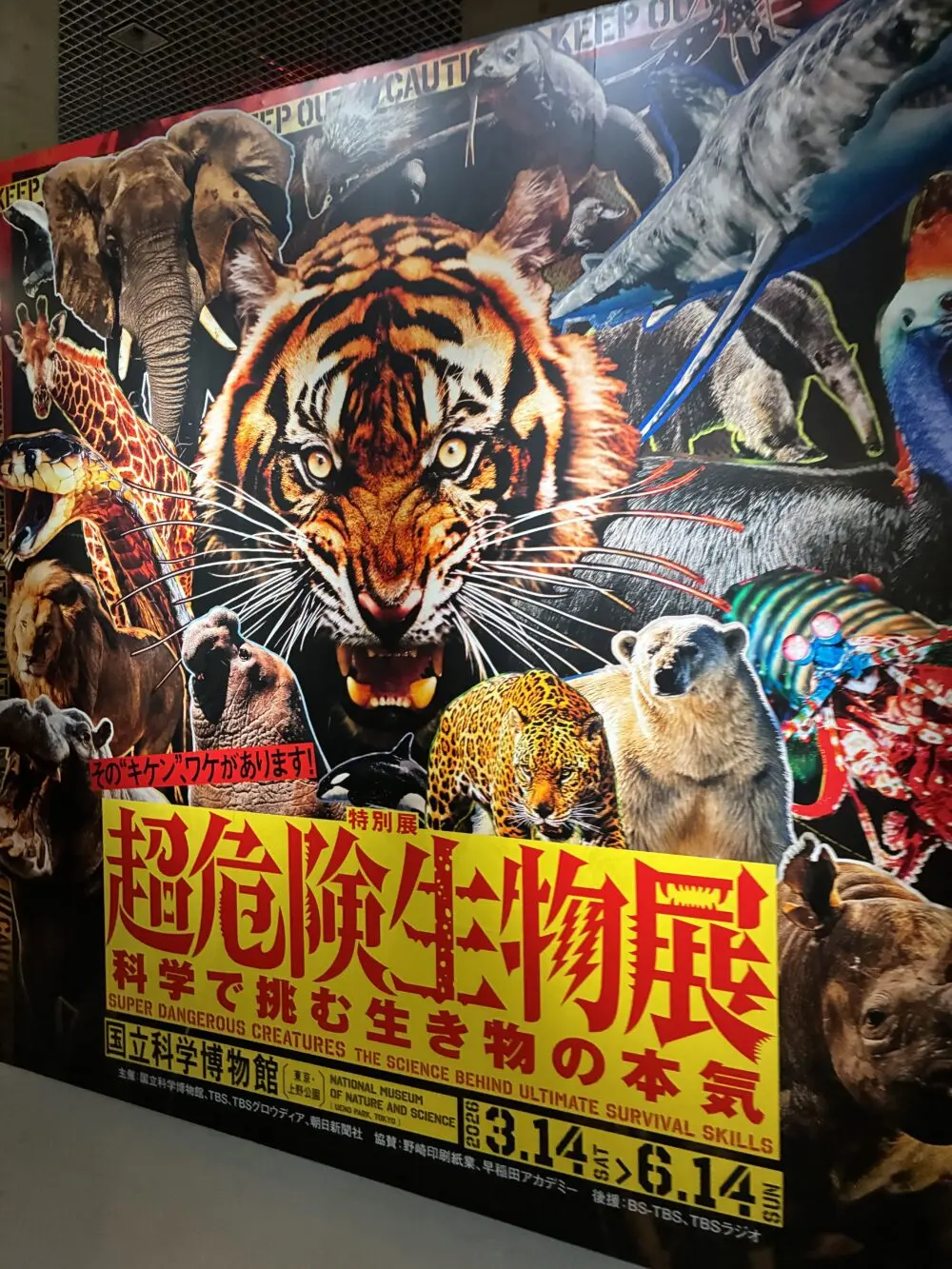 超危険生物展レポ｜迫力満点！子どもも夢中になった見どころまとめ